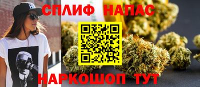 гидропоника Будённовск
