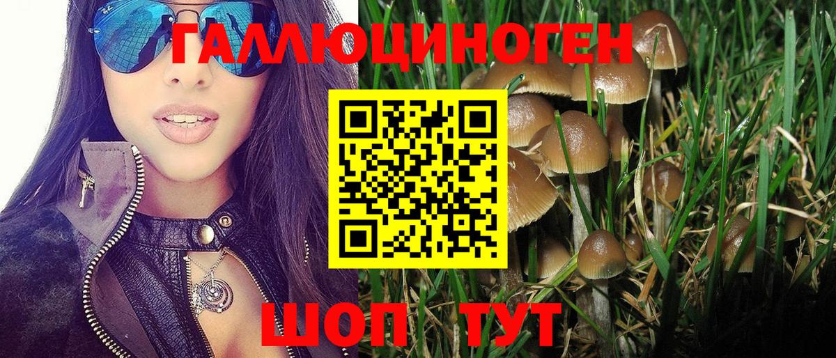Галлюциногенные грибы мицелий Родники