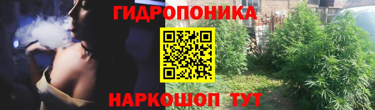 Шишки марихуана гибрид Родники